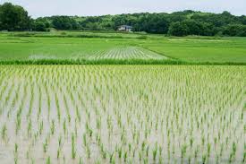 GW休業のお知らせ